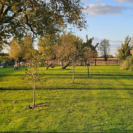Gite Esprit Loft Fromelles Zewnętrze zdjęcie
